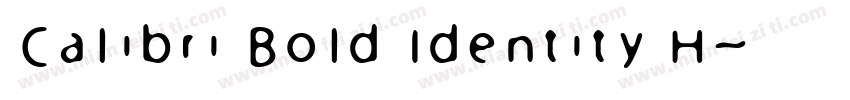 Calibri Bold Identity H字体转换